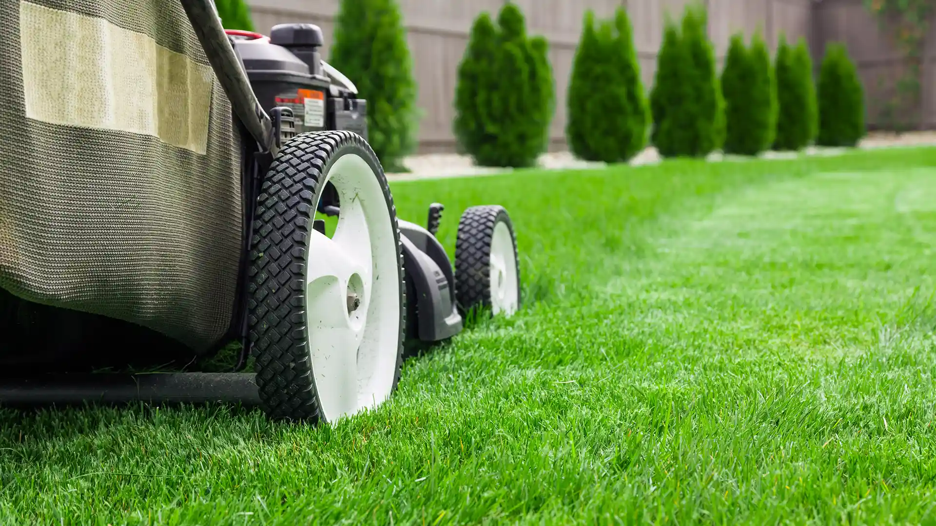 Close up of a lawnmower on some newly mowed grass