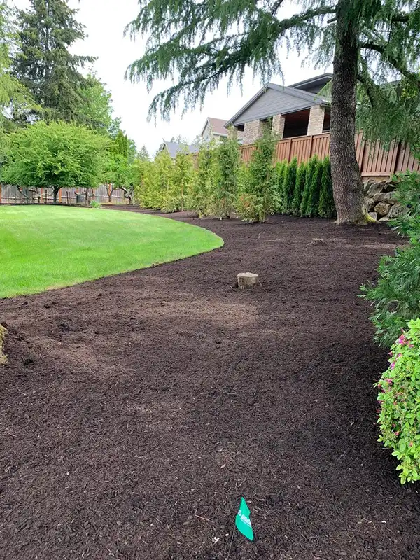 Some mulching work in a client's yard