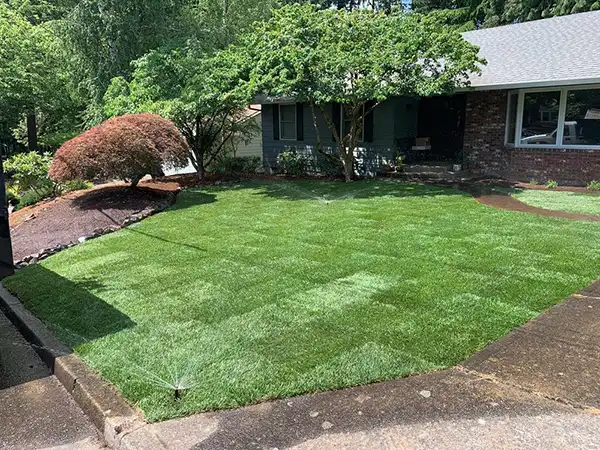 A crisp and neat lawn done by Santiago Lawn Maintenance 