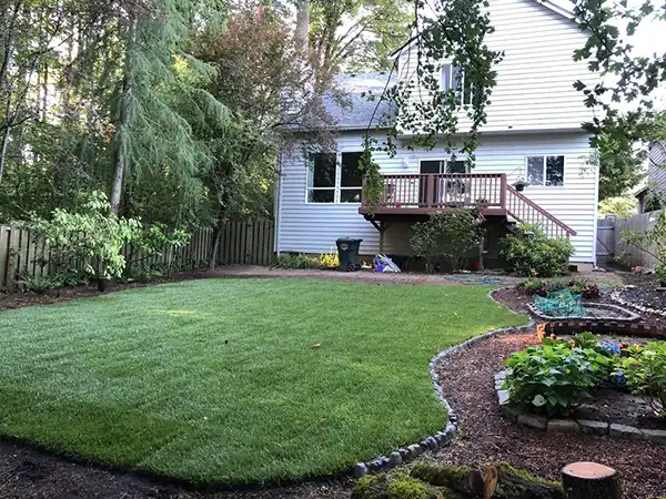 A freshly mowed and landscaped lawn at a client's home