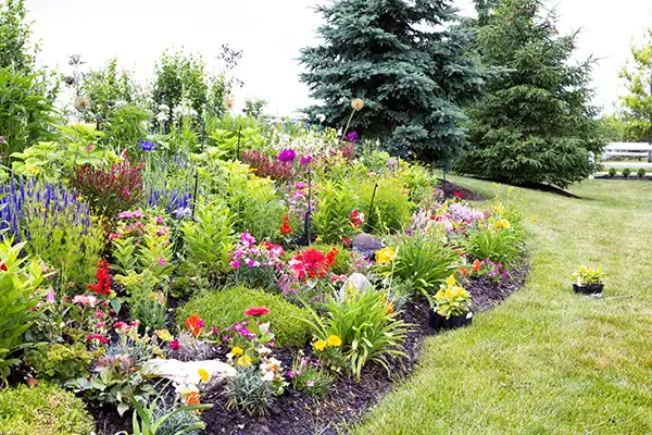 A beautifully landscaped garden in springtime