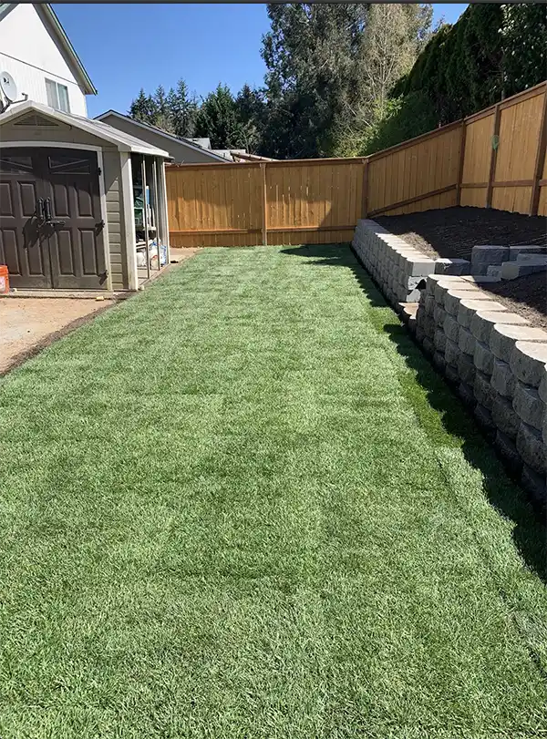 A landscaped yard with sod