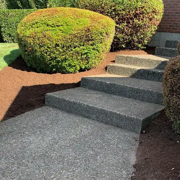 Some neat mulching work done by concrete stairs