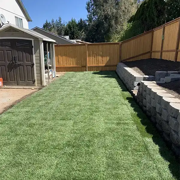 Some excellent sod work that was completed in a client's yard