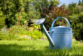 Watering bucket in grass lawn in spring time at Santiago Lawn Maintenance in Forest Grove, OR